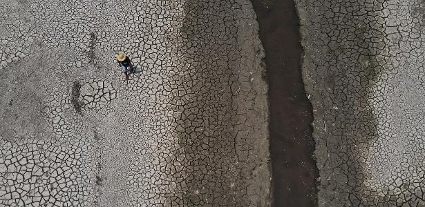 Amazônia tem rios mais secos do que em 2023 e entra em alerta máximo