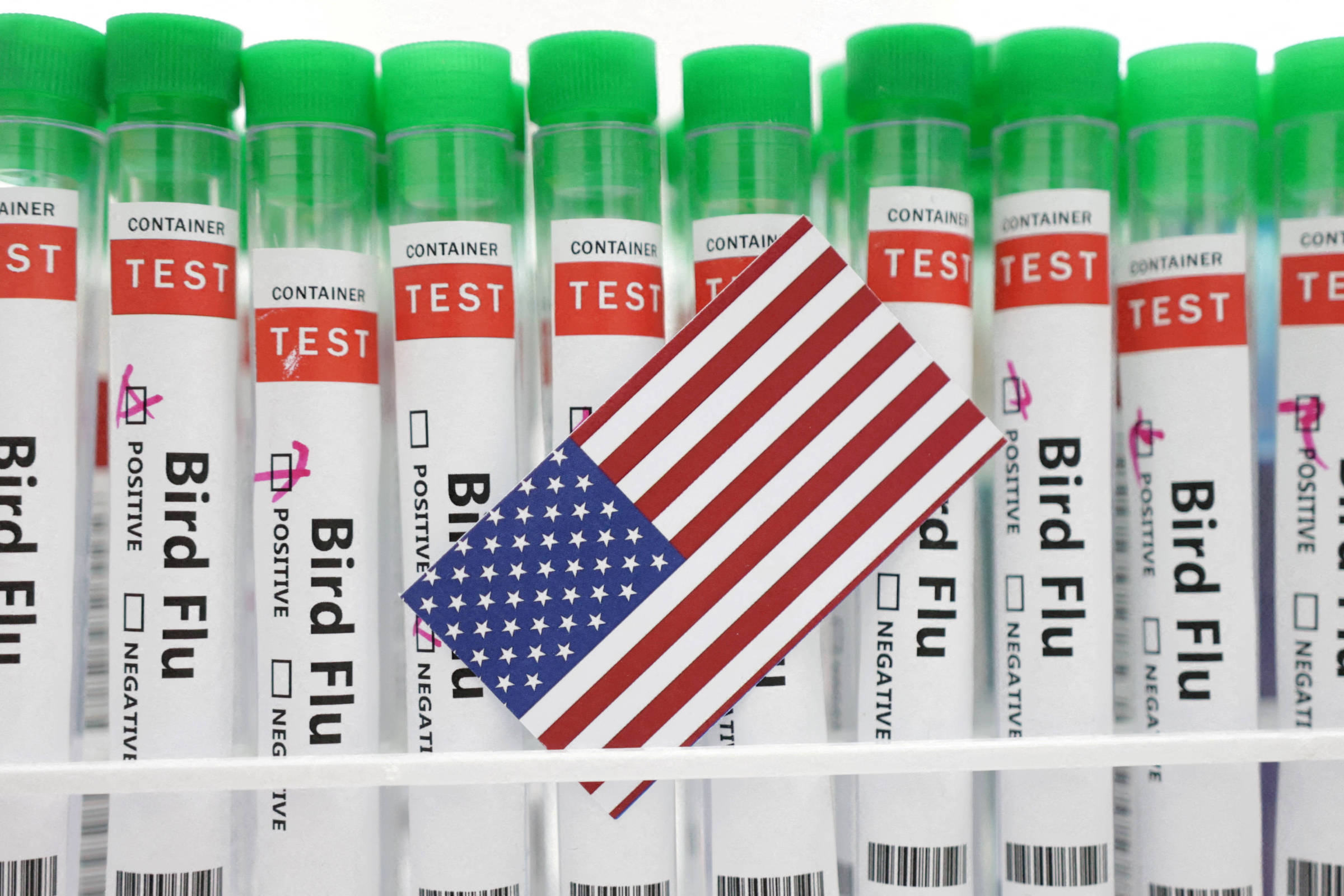 EUA concedem US$ 176 mi para vacina contra gripe aviária – 02/07/2024 – Equilíbrio e Saúde