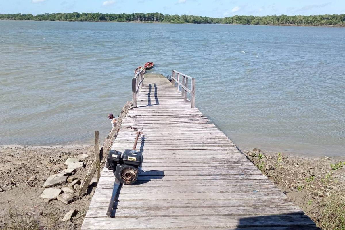 Ilha que sumiu no Pará: culpa das lanchas ou da natureza? – 13/07/2024 – Ambiente